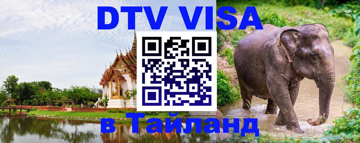 Оформление DTV визы под ключ: стоимость и тарифы, только загранпаспорт - Дзержинск  19.11.2025 